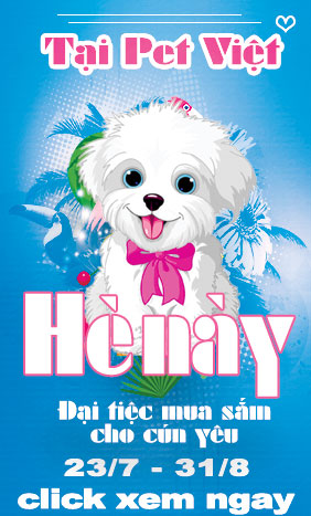 282x467dog3
